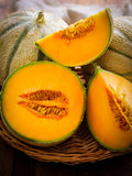 Hearts of Gold Cantaloupe seeds(6 Seeds)