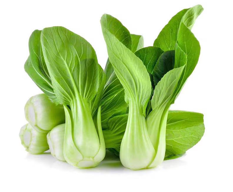 20/100/200 Seeds Green Pak Choi Seeds for Planting, Green Stem Shanghai Bok Choy Seeds(20 Seeds)
