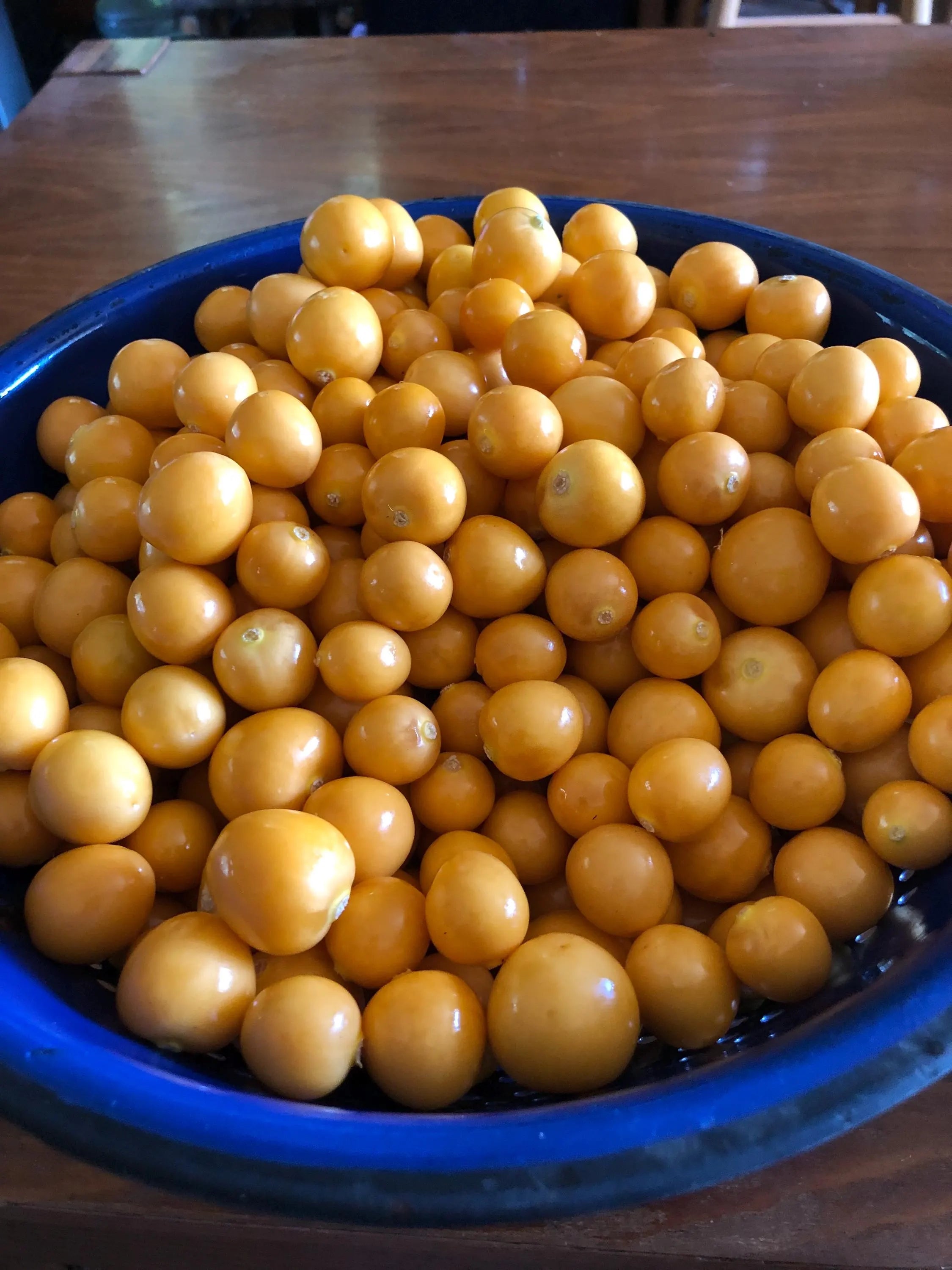 Cape Gooseberry (Peruvian Groundcherry “physalis peruviana” (20/100/200 Seed count)(20 Seeds)