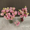 NEW! Super Magic Apricot Lisianthus, Cut Flowers, Eustoma Grandiflorum(200 Seeds)