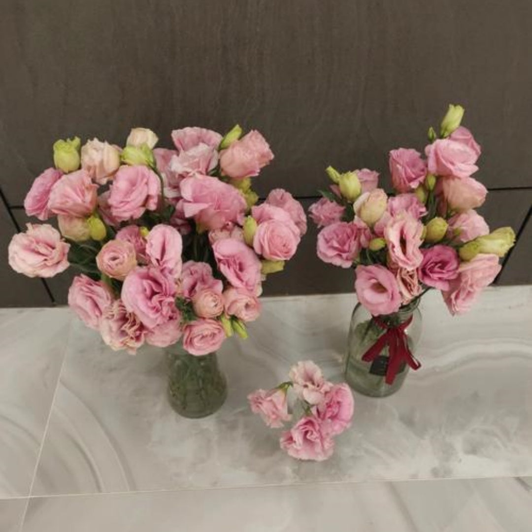 NEW! Super Magic Apricot Lisianthus, Cut Flowers, Eustoma Grandiflorum(200 Seeds)