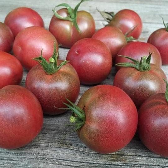 Kiss The Sky Tomato Seeds(4 Seeds)