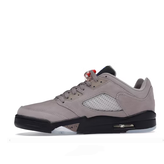 Jordan 5 Retro Low PSG