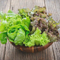 Mesclun Mix Lettuce Seeds  100+ Fresh Non-GMO Heirloom Greens | Arugula, Tatsoi, Kale  Ruby Lettuce(100 Seeds)