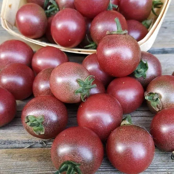 Purple Sugar Cherry Tomato Seeds(4 Seeds)