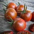 Hoosier Outlaw Black Cherry Tomato Seeds(10 Seeds)