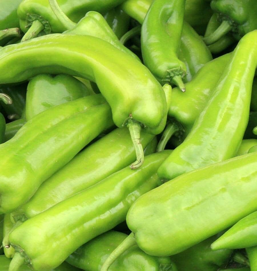 Anaheim Chile Pepper Seeds 6/30/60+ Vegetable Garden Heirloom NON-GMO(6 Seeds)