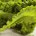 Southern Giant Curled Mustard Greens Heirloom Seeds(40 Seeds)