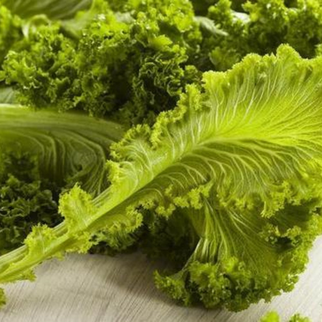 Southern Giant Curled Mustard Greens Heirloom Seeds(40 Seeds)