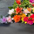 Moss Rose Fairytale  Portulaca grandiflora Seeds - Low Maintenance,Ground Cover, Attracts Pollinators, Plant in Spring/Summer(100 Seeds)
